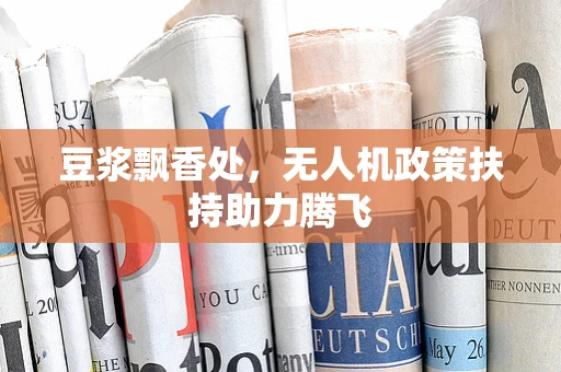 豆浆飘香处，无人机政策扶持助力腾飞