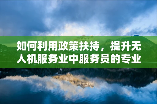 如何利用政策扶持，提升无人机服务业中服务员的专业技能与安全意识？