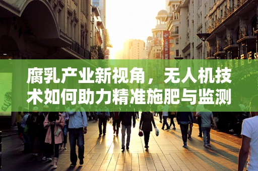 腐乳产业新视角，无人机技术如何助力精准施肥与监测？