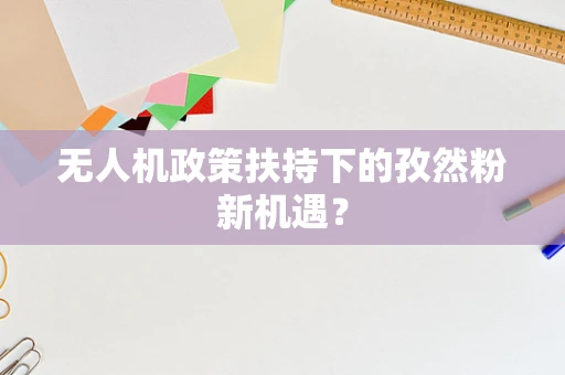无人机政策扶持下的孜然粉新机遇？