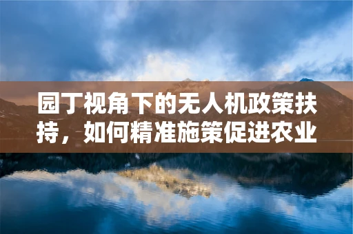 园丁视角下的无人机政策扶持，如何精准施策促进农业智能化？