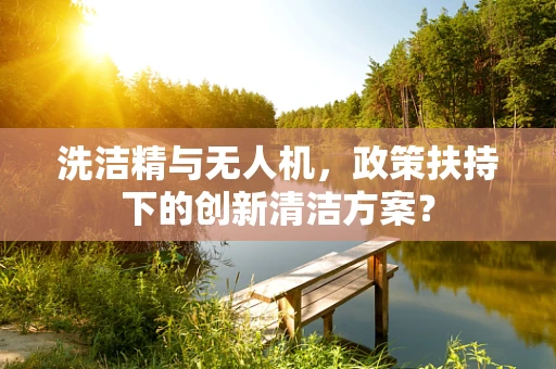 洗洁精与无人机，政策扶持下的创新清洁方案？