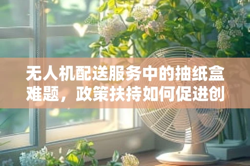 无人机配送服务中的抽纸盒难题，政策扶持如何促进创新解决方案？