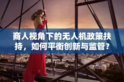商人视角下的无人机政策扶持，如何平衡创新与监管？