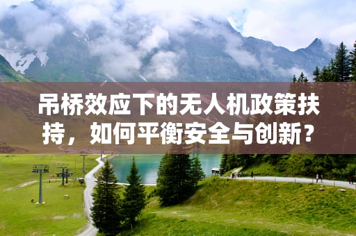 吊桥效应下的无人机政策扶持，如何平衡安全与创新？