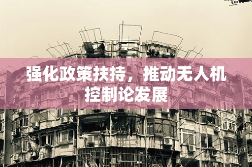 强化政策扶持，推动无人机控制论发展