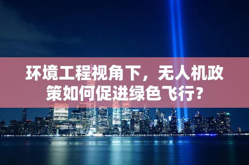 环境工程视角下，无人机政策如何促进绿色飞行？