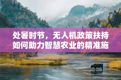 处暑时节，无人机政策扶持如何助力智慧农业的精准施策？