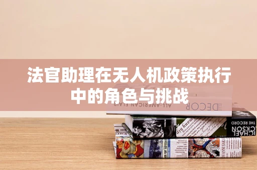 法官助理在无人机政策执行中的角色与挑战