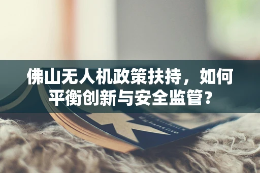 佛山无人机政策扶持，如何平衡创新与安全监管？