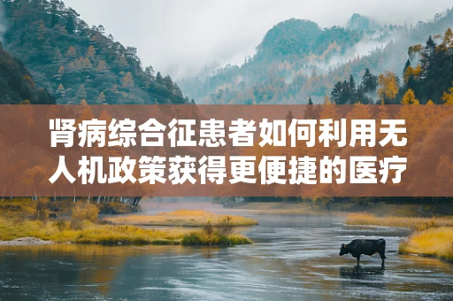 肾病综合征患者如何利用无人机政策获得更便捷的医疗服务？