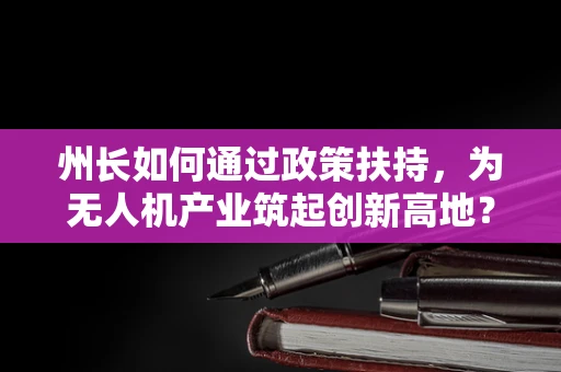 州长如何通过政策扶持，为无人机产业筑起创新高地？