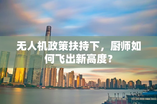 无人机政策扶持下，厨师如何飞出新高度？