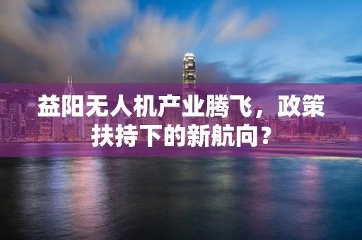 益阳无人机产业腾飞，政策扶持下的新航向？