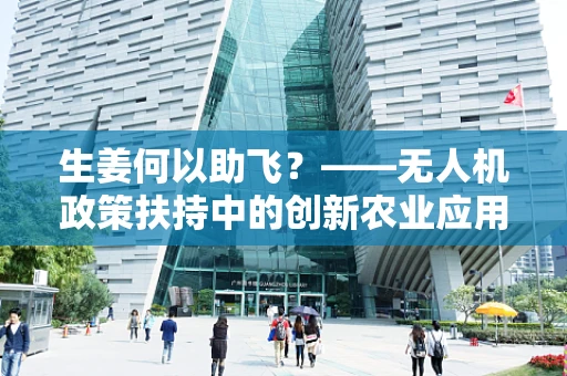 生姜何以助飞？——无人机政策扶持中的创新农业应用探索