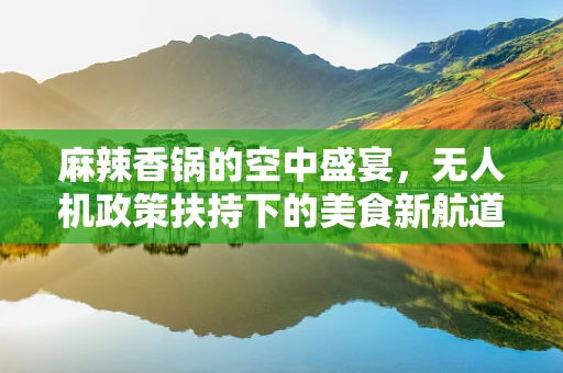 麻辣香锅的空中盛宴，无人机政策扶持下的美食新航道？