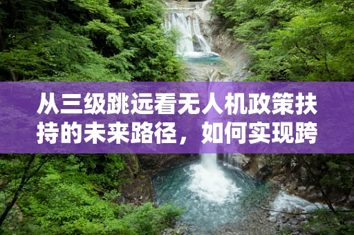 从三级跳远看无人机政策扶持的未来路径，如何实现跨越式发展？