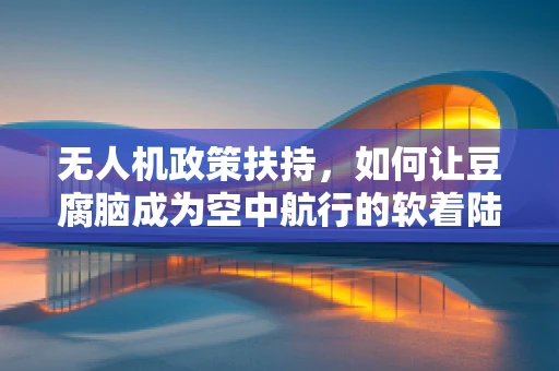 无人机政策扶持，如何让豆腐脑成为空中航行的软着陆？