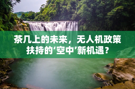 茶几上的未来，无人机政策扶持的‘空中’新机遇？