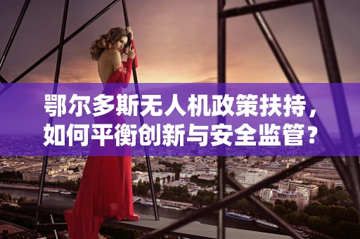 鄂尔多斯无人机政策扶持，如何平衡创新与安全监管？