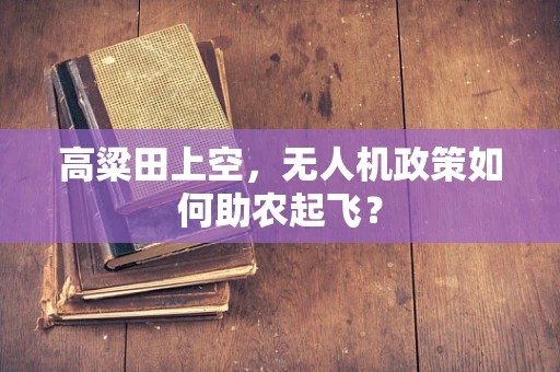 高粱田上空，无人机政策如何助农起飞？