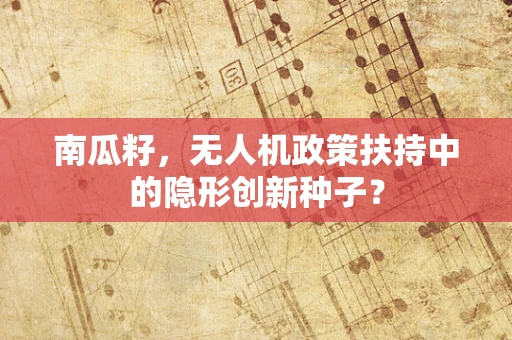 南瓜籽，无人机政策扶持中的隐形创新种子？