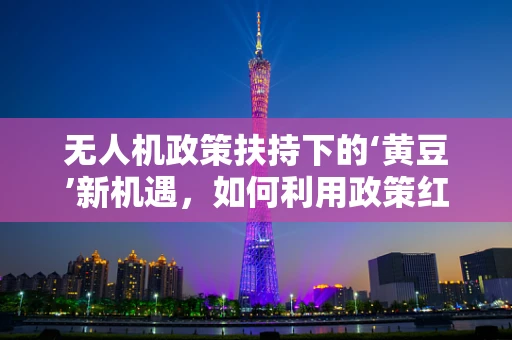 无人机政策扶持下的‘黄豆’新机遇，如何利用政策红利实现精准农业的飞跃？