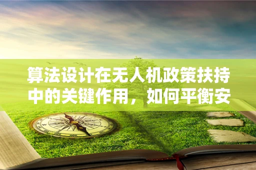 算法设计在无人机政策扶持中的关键作用，如何平衡安全与效率？