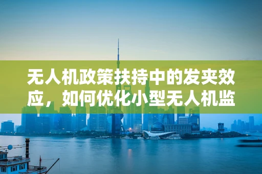 无人机政策扶持中的发夹效应，如何优化小型无人机监管？