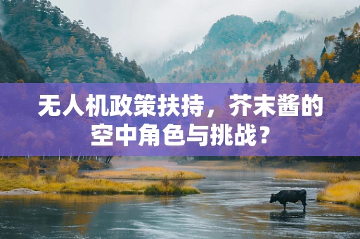 无人机政策扶持，芥末酱的空中角色与挑战？