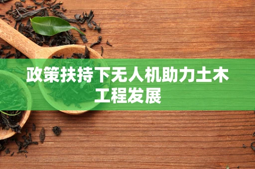 政策扶持下无人机助力土木工程发展