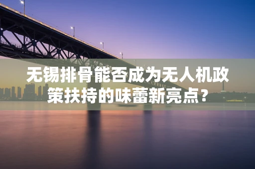 无锡排骨能否成为无人机政策扶持的味蕾新亮点？