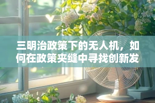 三明治政策下的无人机，如何在政策夹缝中寻找创新发展路径？
