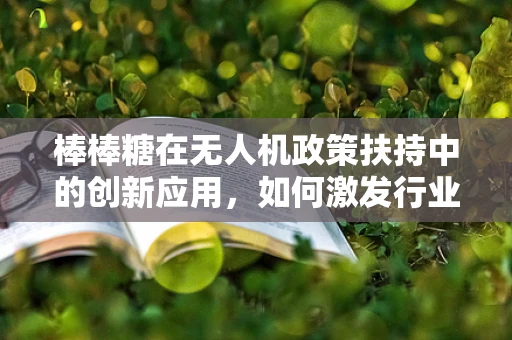 棒棒糖在无人机政策扶持中的创新应用，如何激发行业新活力？