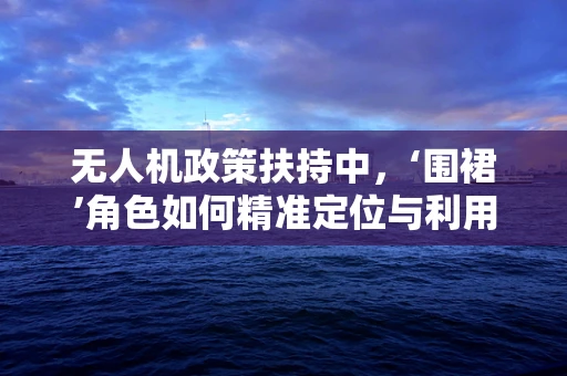 无人机政策扶持中，‘围裙’角色如何精准定位与利用？