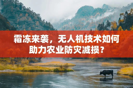 霜冻来袭，无人机技术如何助力农业防灾减损？