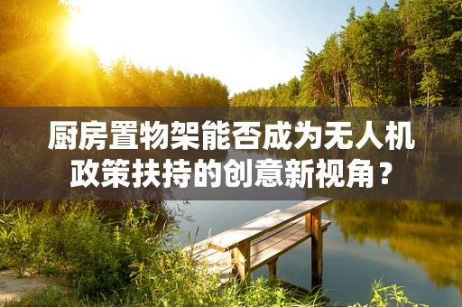 厨房置物架能否成为无人机政策扶持的创意新视角？