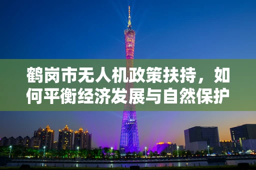 鹤岗市无人机政策扶持，如何平衡经济发展与自然保护？