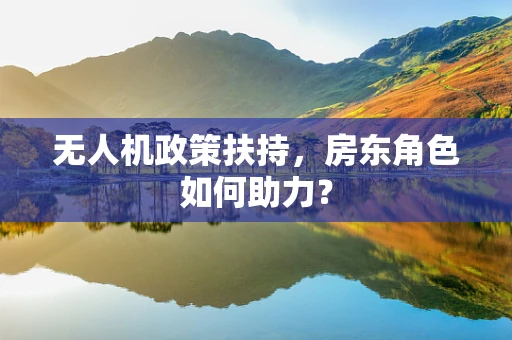 无人机政策扶持，房东角色如何助力？