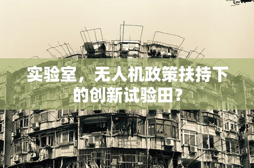 实验室，无人机政策扶持下的创新试验田？