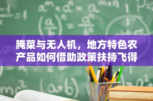 腌菜与无人机，地方特色农产品如何借助政策扶持飞得更高？