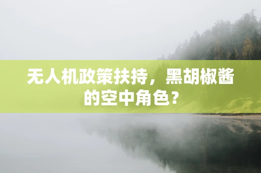 无人机政策扶持，黑胡椒酱的空中角色？