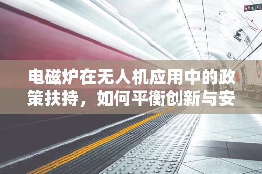 电磁炉在无人机应用中的政策扶持，如何平衡创新与安全？