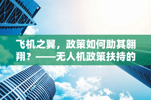 飞机之翼，政策如何助其翱翔？——无人机政策扶持的深度探讨