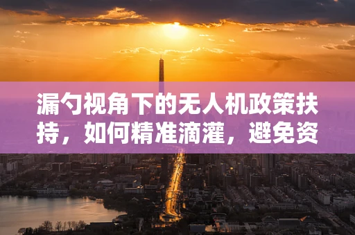 漏勺视角下的无人机政策扶持，如何精准滴灌，避免资源‘漏损’？