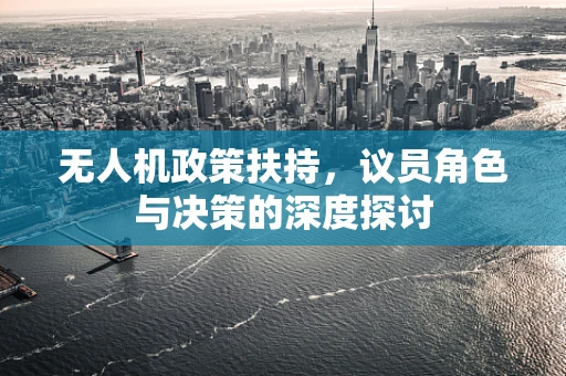 无人机政策扶持，议员角色与决策的深度探讨