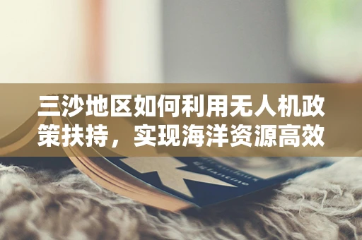 三沙地区如何利用无人机政策扶持，实现海洋资源高效监测？