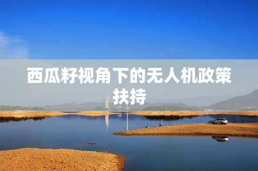 西瓜籽视角下的无人机政策扶持
