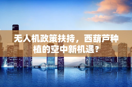无人机政策扶持，西葫芦种植的空中新机遇？