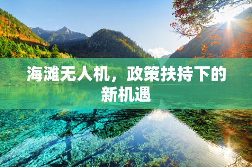 海滩无人机，政策扶持下的新机遇